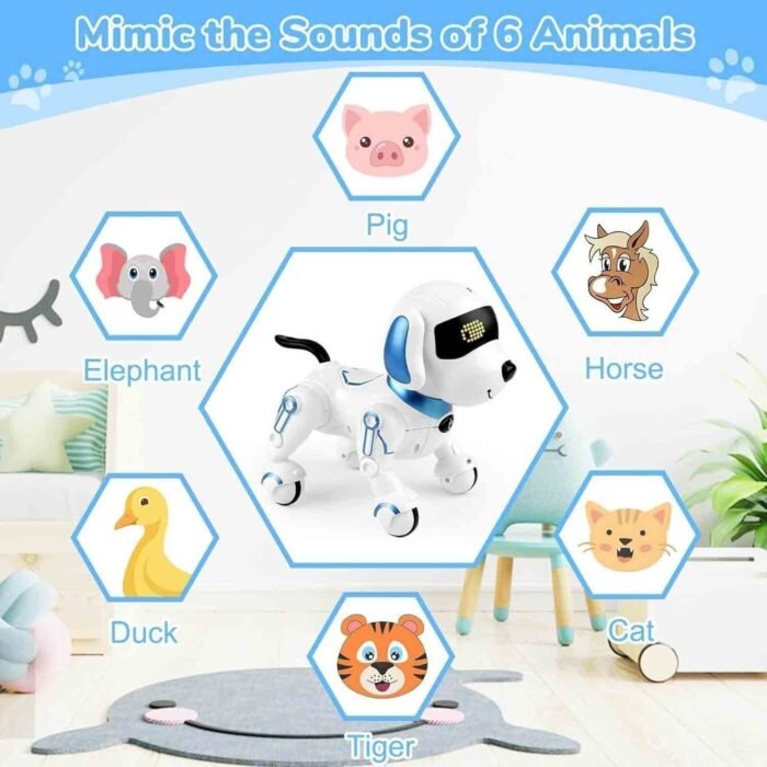 13-113-1.jpg 13-113-1.jpg