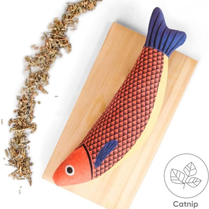 2_71vUgObhkL._AC_SL1500-1.jpg 2_71vUgObhkL._AC_SL1500-1.jpg