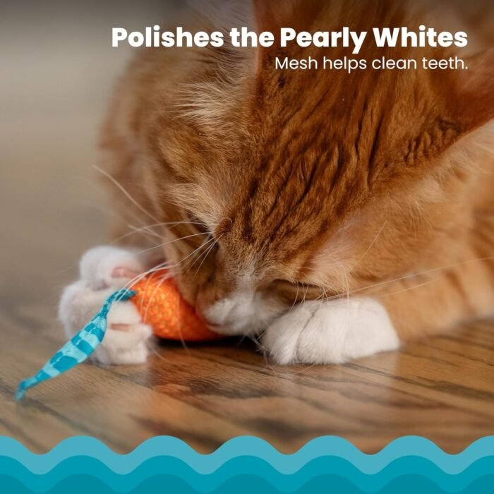 2_81y1kAOY8iL._AC_SL1500-1.jpg 2_81y1kAOY8iL._AC_SL1500-1.jpg