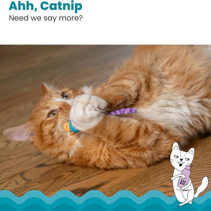 3_81s5DWOJutL._AC_SL1500-1.jpg 3_81s5DWOJutL._AC_SL1500-1.jpg