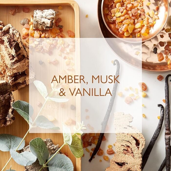 3_81zaPgxItlL._AC_SL1500.jpg 3_81zaPgxItlL._AC_SL1500.jpg