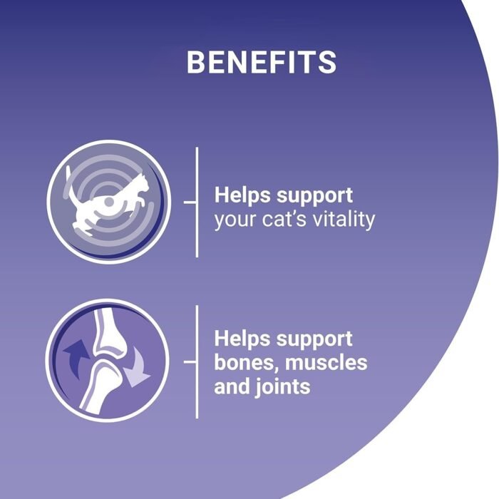 4_71ND81op6sL._AC_SL1500-1.jpg 4_71ND81op6sL._AC_SL1500-1.jpg