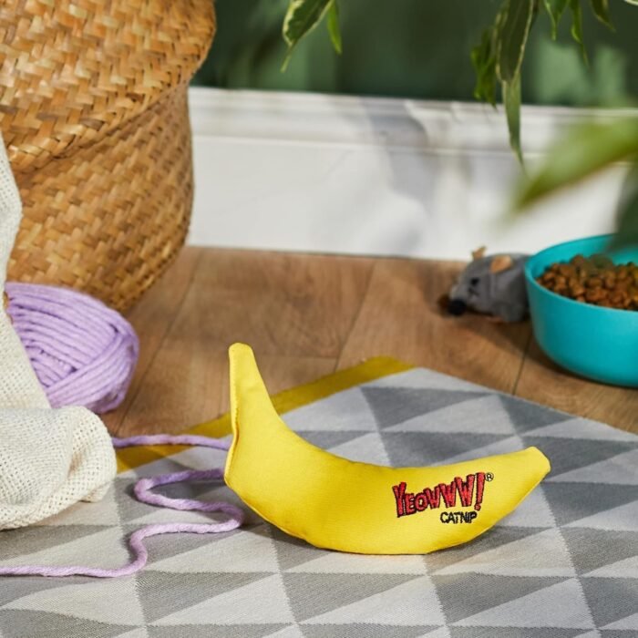 4_815glGMYvwL._AC_SL1500.jpg 4_815glGMYvwL._AC_SL1500.jpg