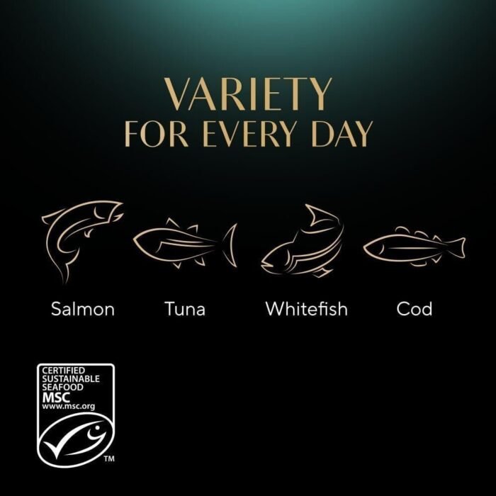 51h2OD4JpL._AC_SL1000-1.jpg 51h2OD4JpL._AC_SL1000-1.jpg