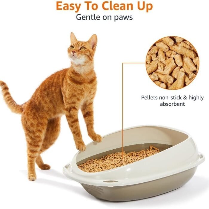 61-7pxj2xDL._AC_SL1080-1.jpg 61-7pxj2xDL._AC_SL1080-1.jpg