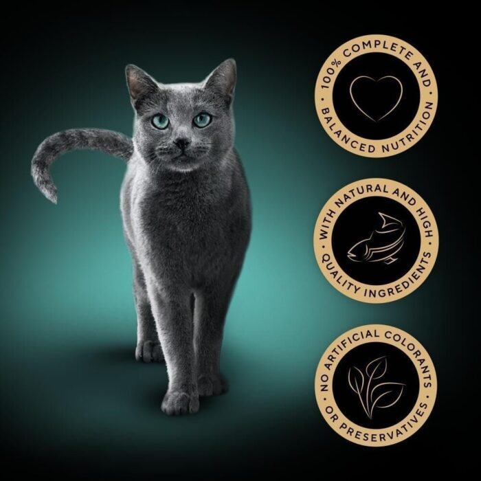 61-bGbhukRL._AC_SL1000-1.jpg 61-bGbhukRL._AC_SL1000-1.jpg