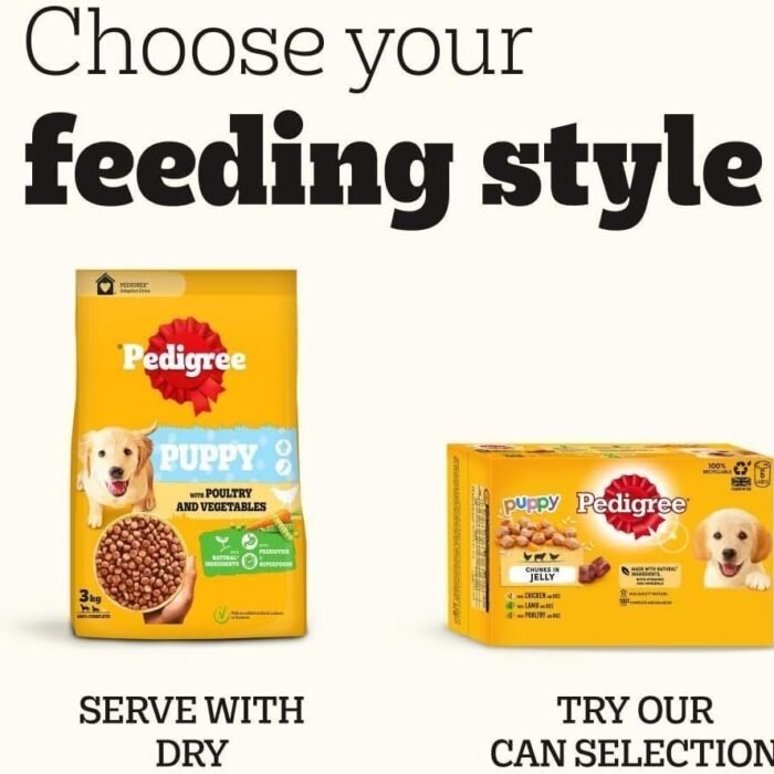 617nxlyVCyL._AC_SL1000-1.jpg 617nxlyVCyL._AC_SL1000-1.jpg