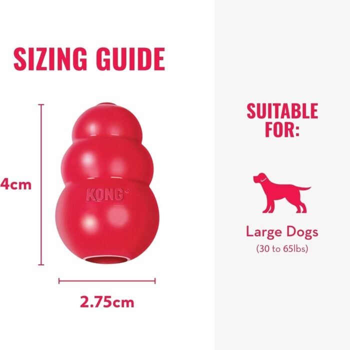 61EMyScxL._AC_SL1500-1.jpg 61EMyScxL._AC_SL1500-1.jpg