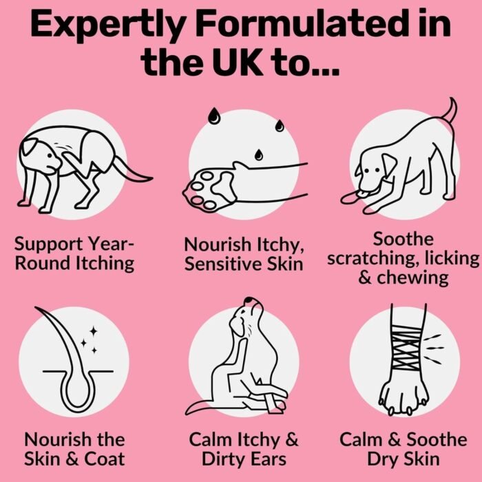 71K1e9Xm7eL._AC_SL1500-1.jpg 71K1e9Xm7eL._AC_SL1500-1.jpg