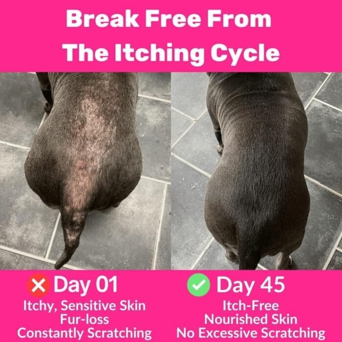 71PaZ6vetoL._AC_SL1024-1.jpg 71PaZ6vetoL._AC_SL1024-1.jpg