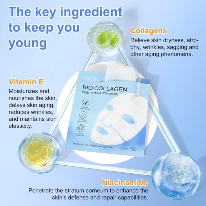 71nGhoO-4QL._AC_SL1500.jpg 71nGhoO-4QL._AC_SL1500.jpg