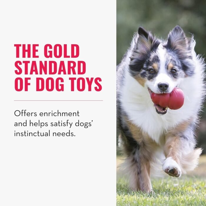 71qsgnj4JuL._AC_SL1500-1.jpg 71qsgnj4JuL._AC_SL1500-1.jpg