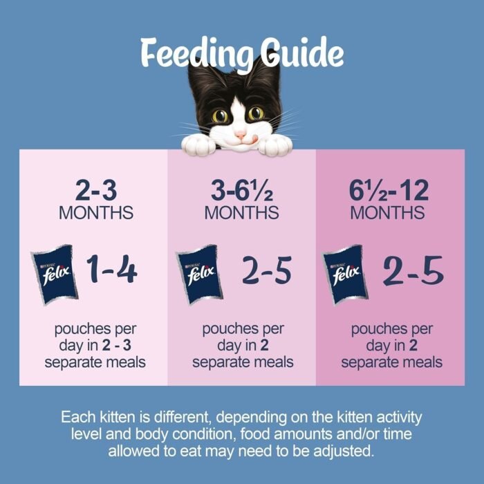 81M9Gy5smPL._AC_SL1500-1.jpg 81M9Gy5smPL._AC_SL1500-1.jpg