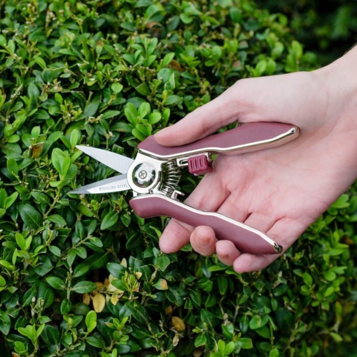 Untitled-1-copy-3-1.jpg Untitled-1-copy-3-1.jpg